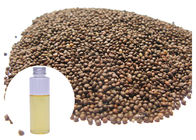 खाद्य ग्रेड पेरिला आवश्यक तेल तरल, ठंडा दबाव प्राकृतिक संयंत्र तेल